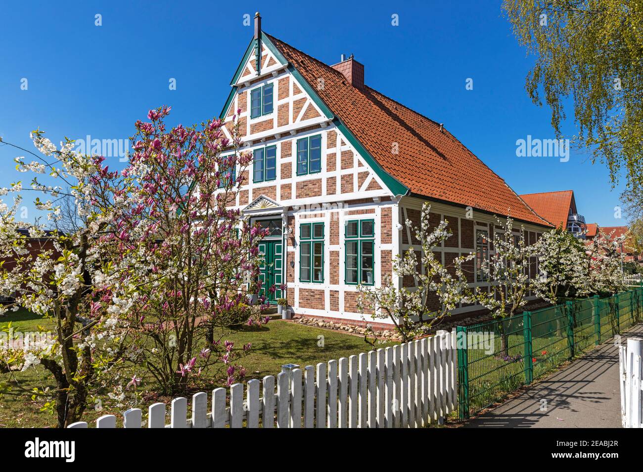 Tree blossom, half-timbered house in Steinkirchen, Altes Land, Stade district, Lower Saxony, Stock Photo