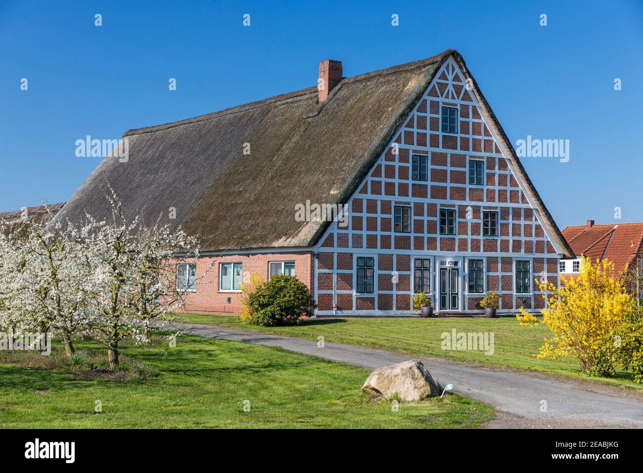 Altländer farmhouse, Hollern-Twielenfleth, Altes Land, Stade district,  Lower Saxony Stock Photo - Alamy