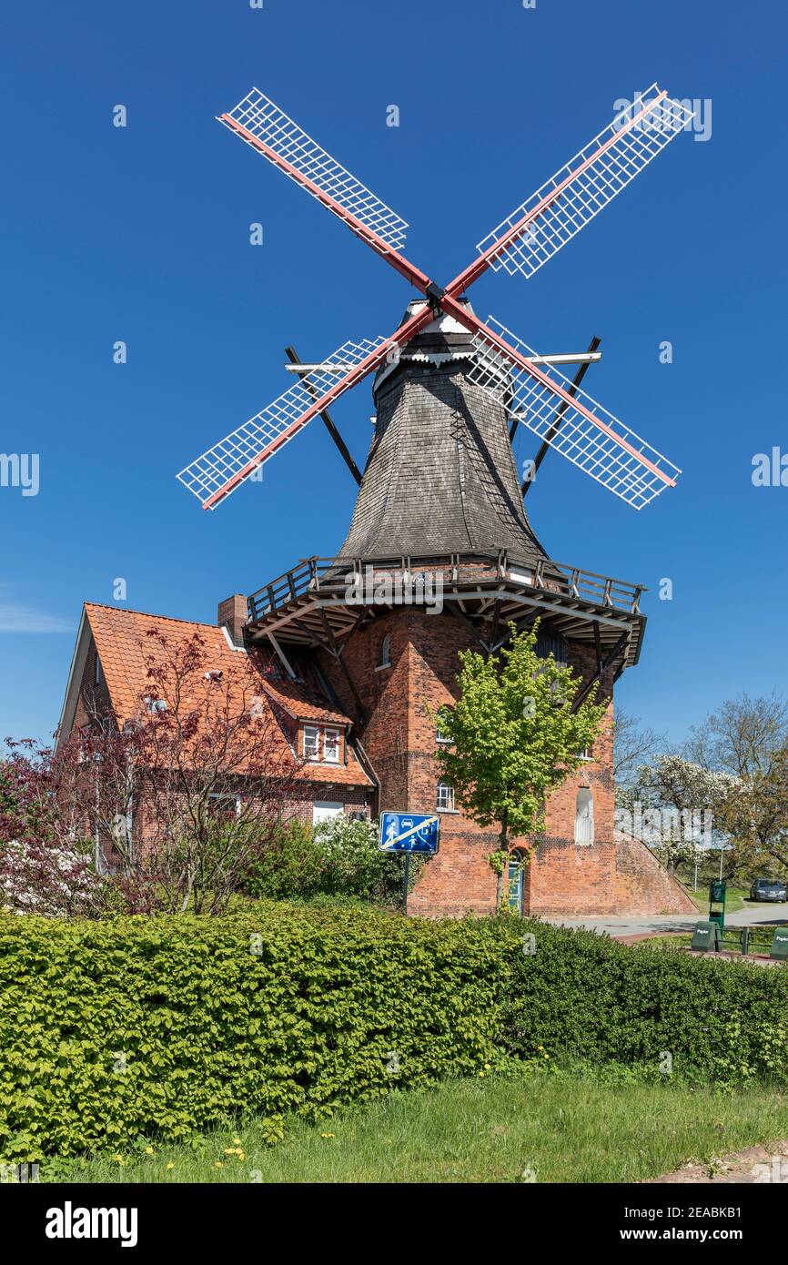 Windmill 'Aurora' on the Elbe dike in Jork-Borstel, Altes Land, district of Stade, Lower Saxony, Stock Photo