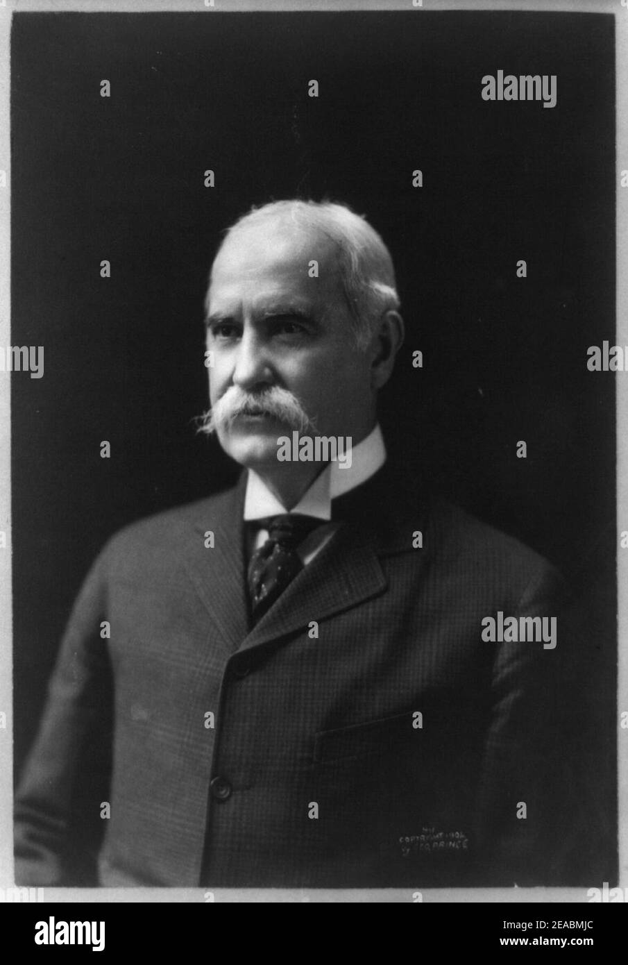 Nelson Wilmarth Aldrich, head-and-shoulders portrait, facing slightly left Stock Photo