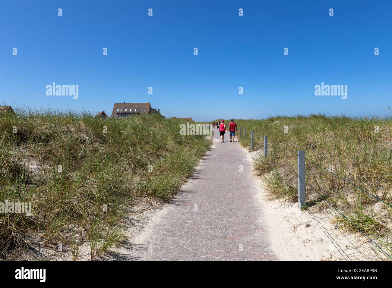Path to the beach, Westdorf, East Frisian island Baltrum, Lower Saxony, Stock Photo