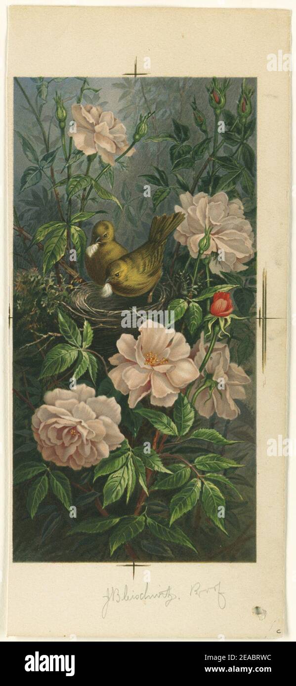 Nesting Birds Among Roses Stock Photo - Alamy