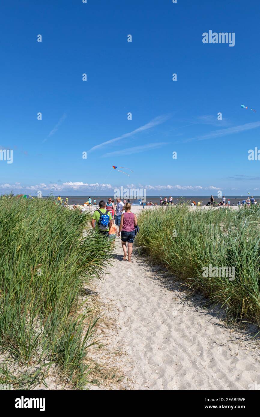 Vacationers on the way to the bathing beach, Schillig, district of the municipality Wangerland, Friesland district, Lower Saxony, Stock Photo