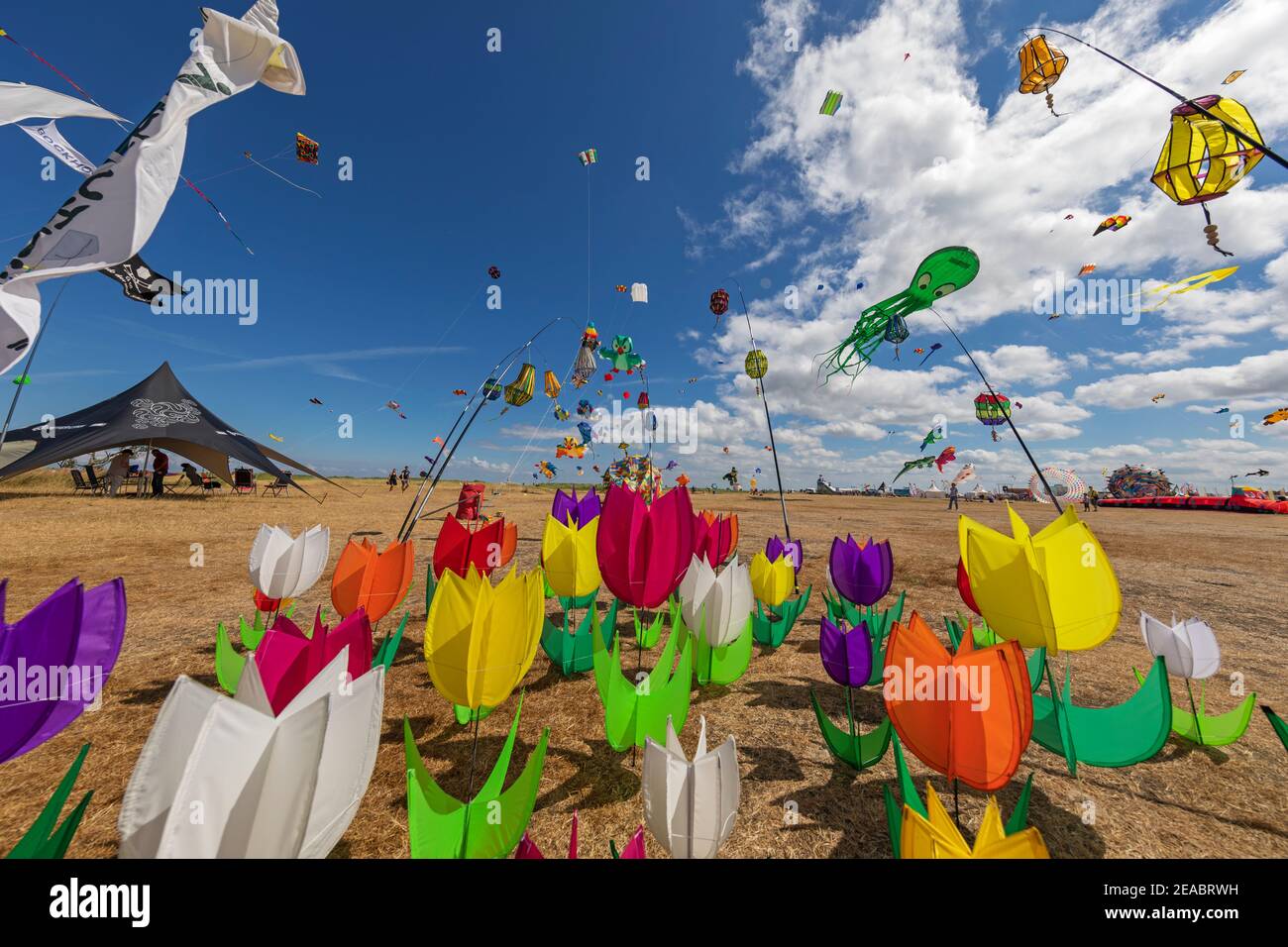 13th International Kite Festival in Schillig, district of the municipality of Wangerland, Friesland district, Lower Saxony, Stock Photo