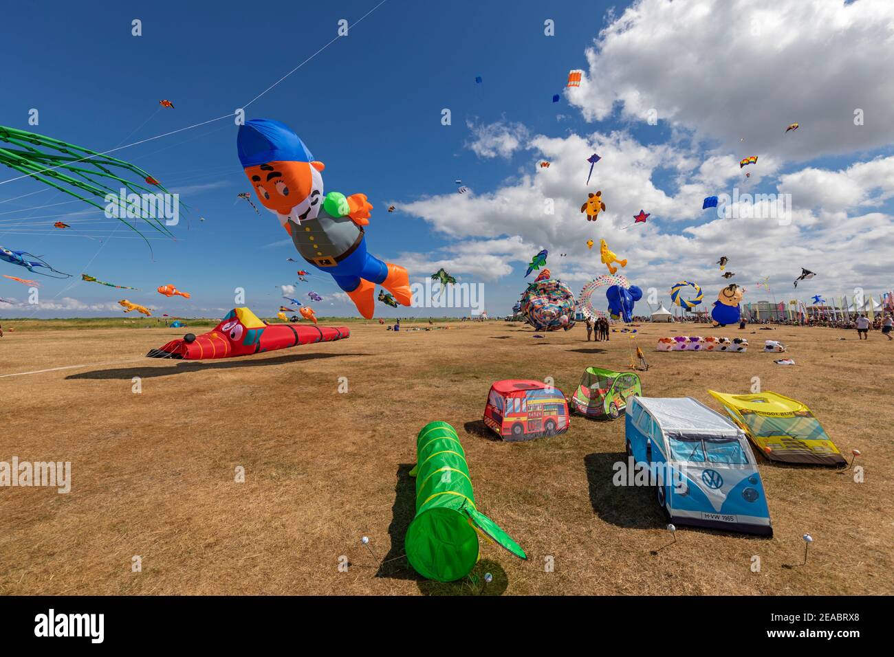 13th International Kite Festival in Schillig, district of the municipality of Wangerland, Friesland district, Lower Saxony, Stock Photo