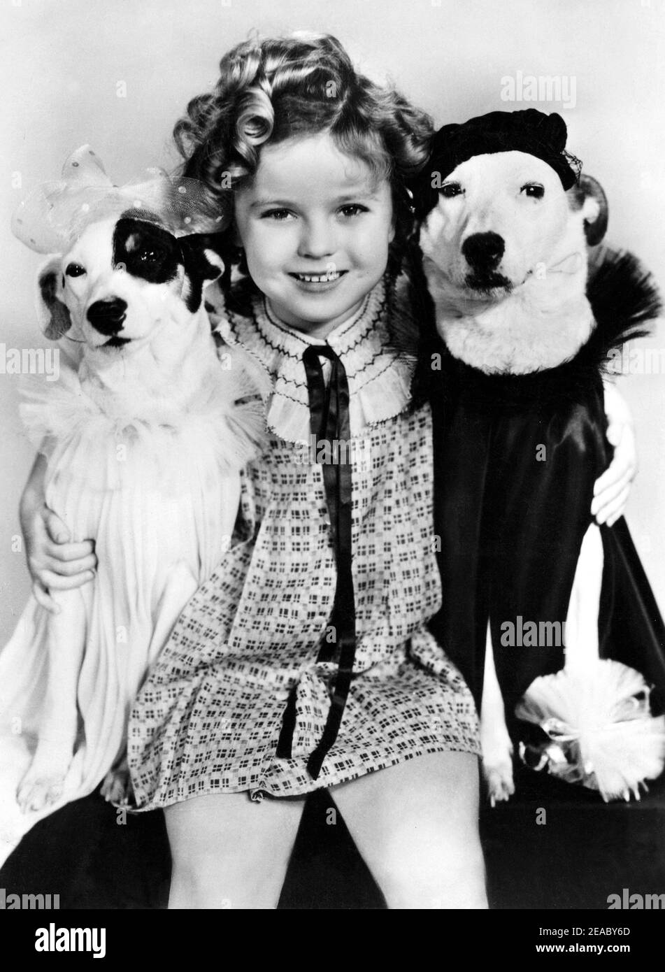 1936 ca.  : The child actress  SHIRLEY TEMPLE   , Fox movie pubblicity still   - MOVIE - FILM - CINEMA - portrait - ritratto -  personality personalities actor actors with pet dog - personalità celebrità attori con animali - cane - cani - dogs - smile - sorriso   ----  Archivio GBB Stock Photo