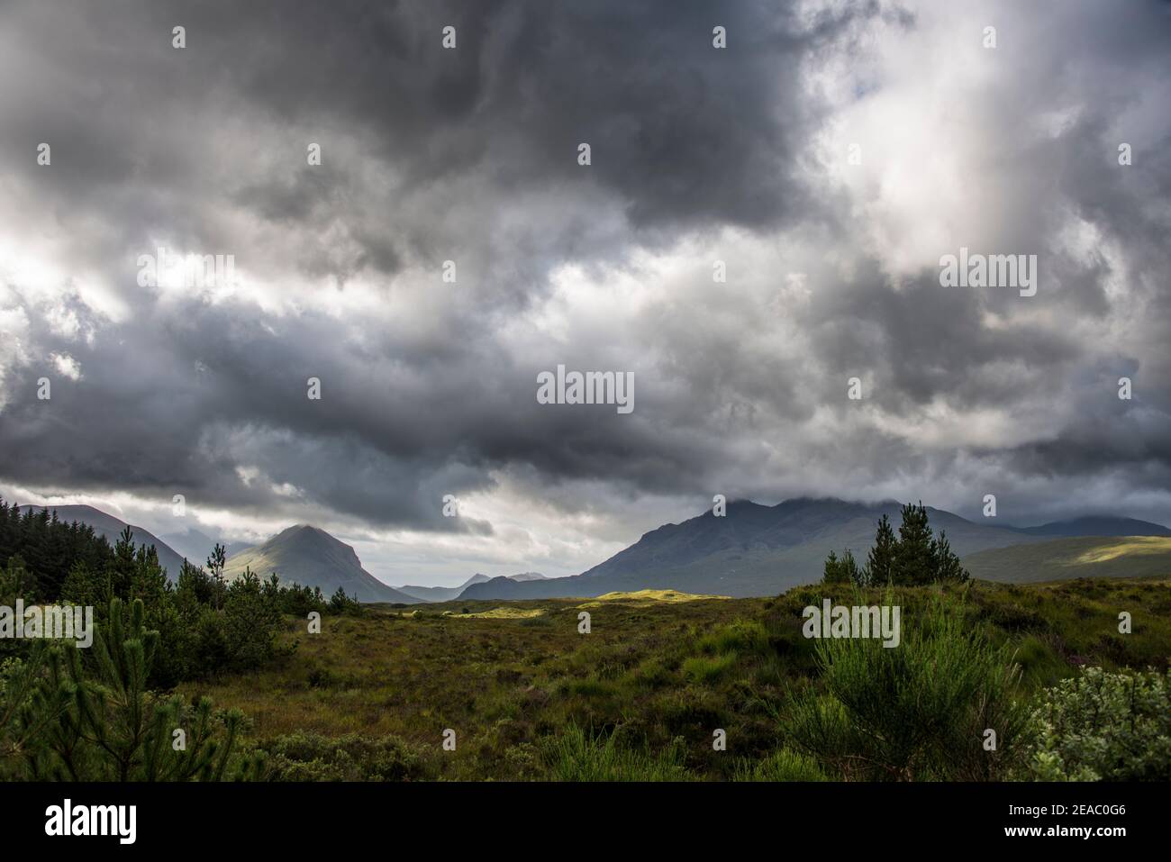 Heathland in the Scottish Highlands Stock Photo