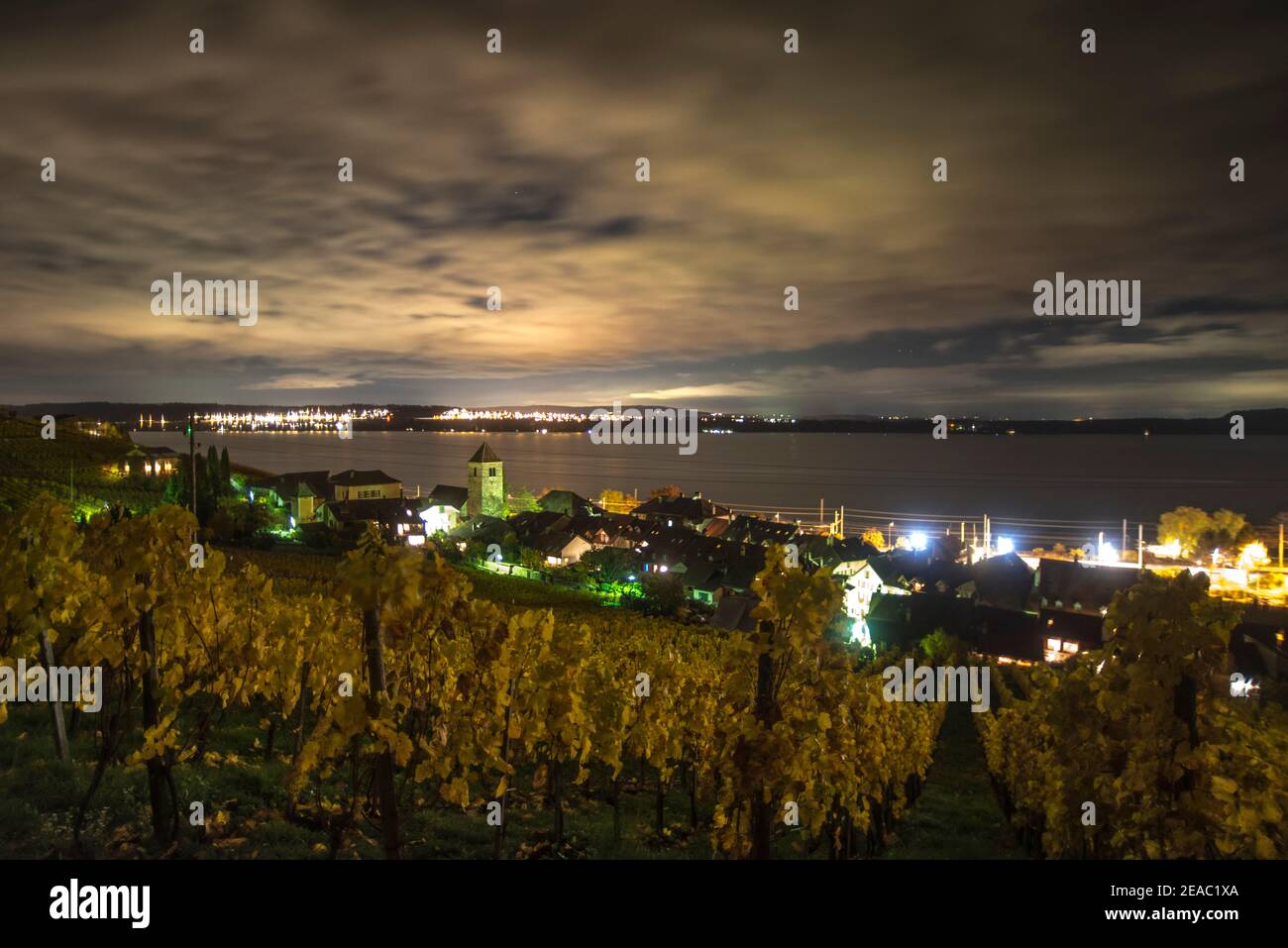 nocturnal vineyard on Lake Biel Stock Photo