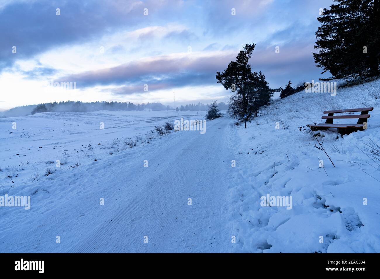 Winter, winter world, snow, juniper heather, frosty morning, Swabian Alb, Baden-Wuerttemberg, Germany, Europe Stock Photo