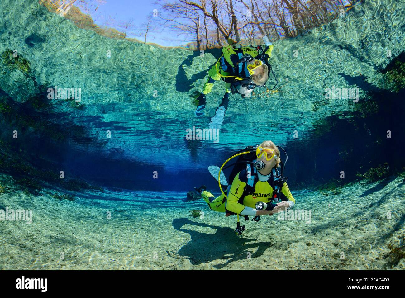 Diver in the crystal clear spring pot of Ginnie Springs, High Springs, Gilchrist County, Florida, USA Stock Photo