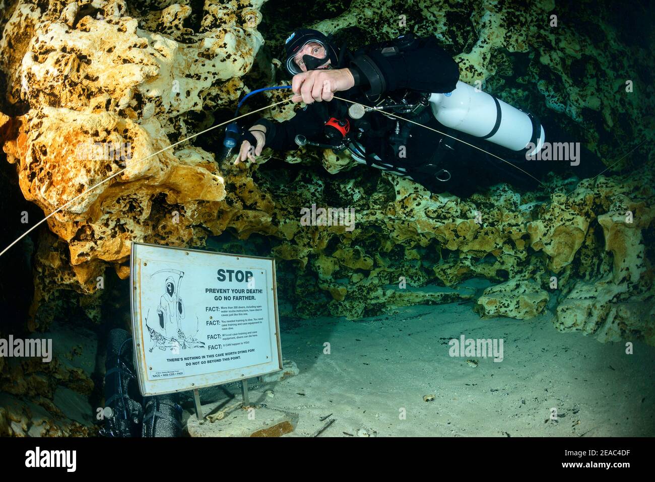 Scuba divers divers at entrance to Ginnie Springs Cave, High Springs, Gilchrist County, Florida, USA Stock Photo