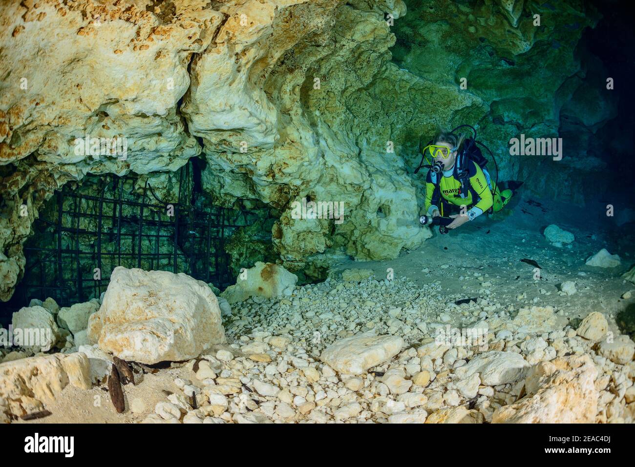 Scuba divers divers at entrance to Ginnie Springs Cave, High Springs, Gilchrist County, Florida, USA Stock Photo