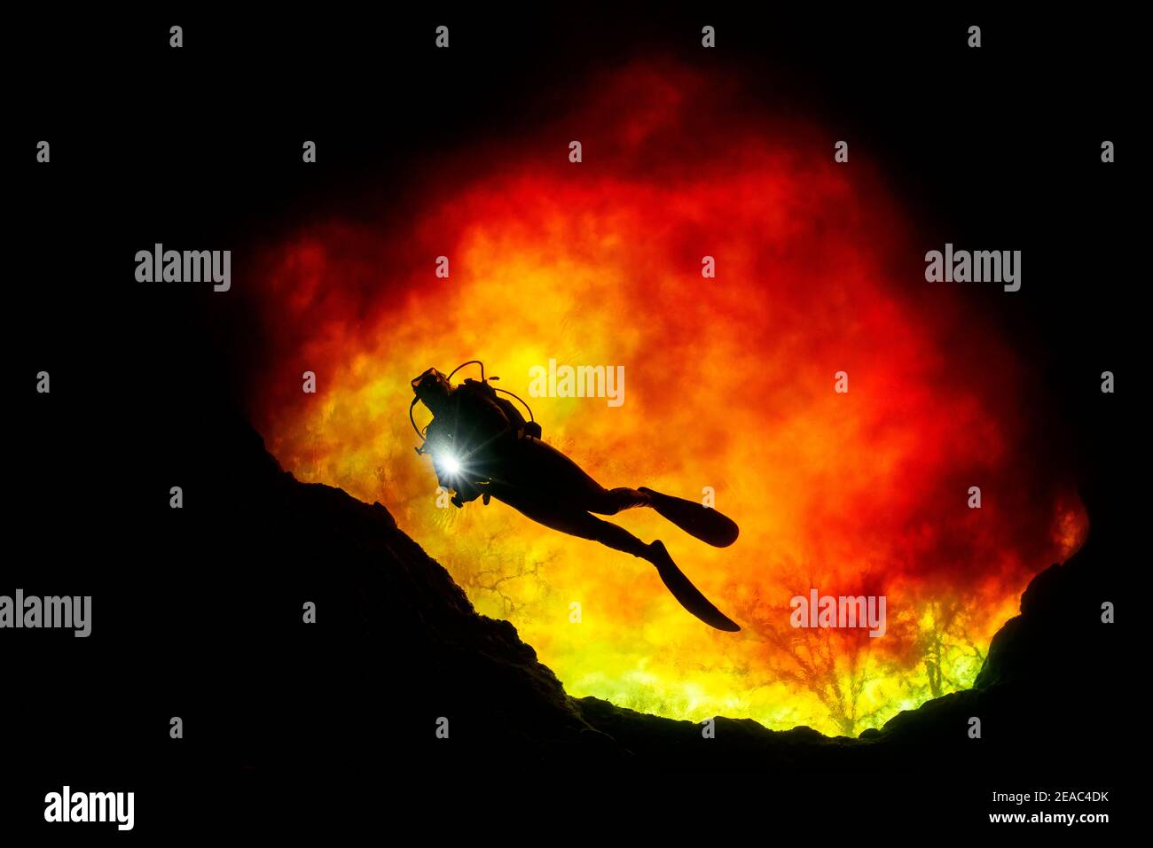 Cave diver, diver in Devils Eye with red water from Santa Fe River, spring pot at Ginnie Spring, High Springs, Gilchrist County, Florida, USA Stock Photo