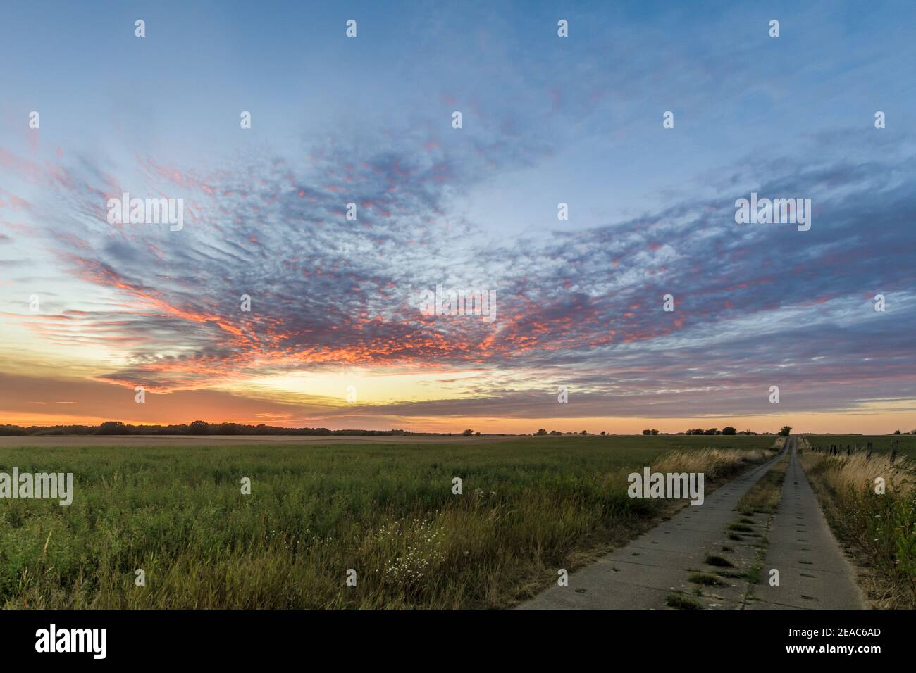 View over slab path between harvested fields and meadows with a dramatic sky at sunset Stock Photo