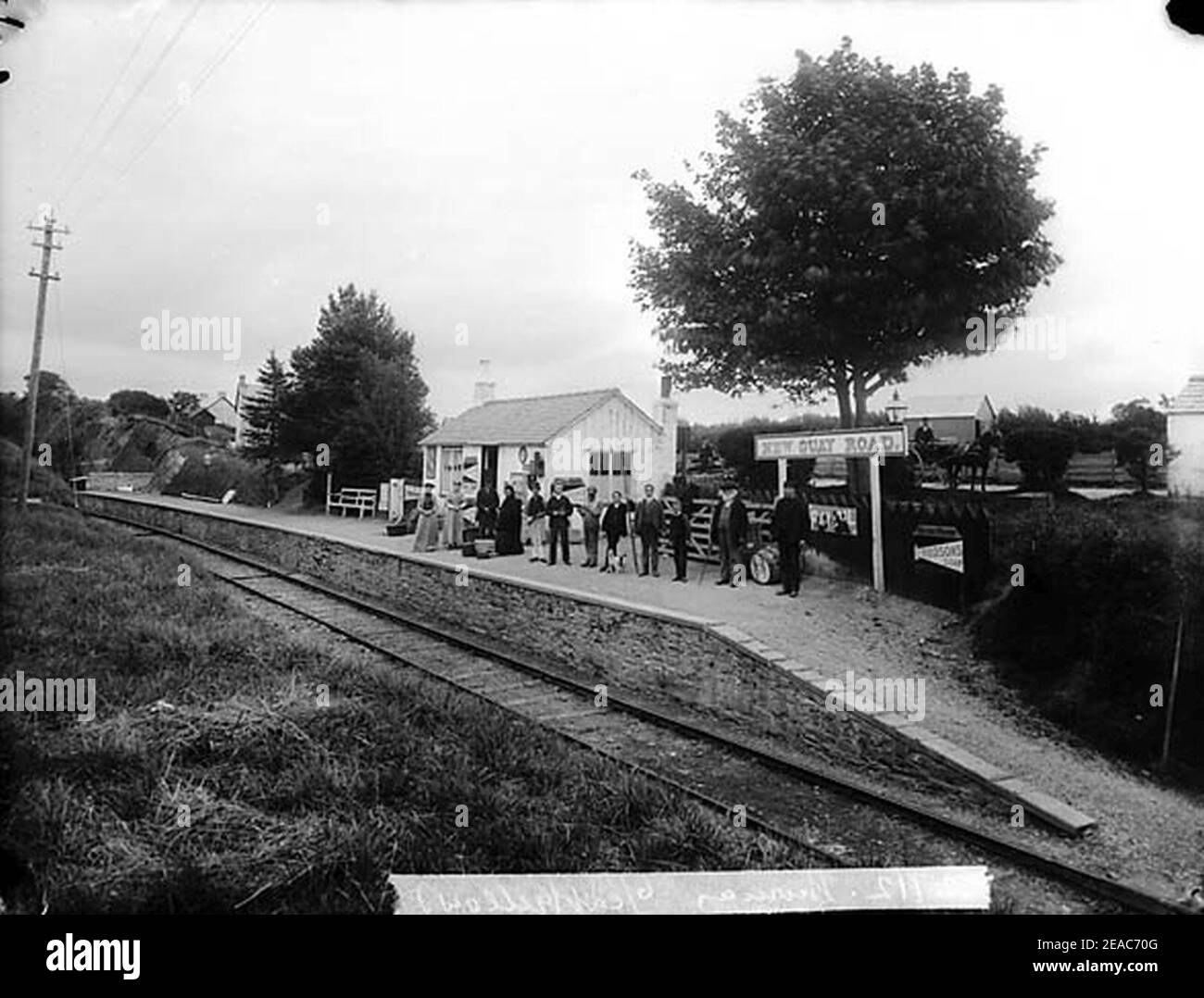 New Quay Road railway station Stock Photo Alamy