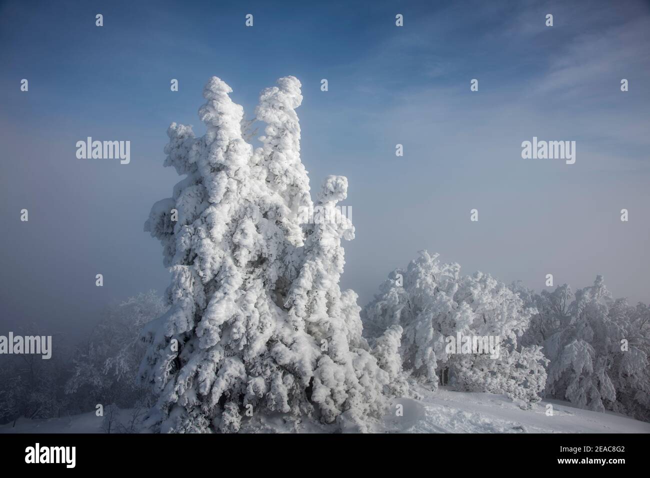 Winter in the Jura, Switzerland Stock Photo Alamy