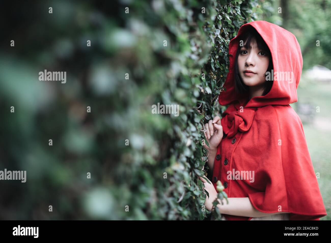 Little Red Riding Hood - Ladies main image 0