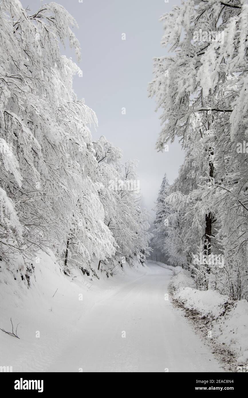 Winter in the Jura, Switzerland Stock Photo Alamy