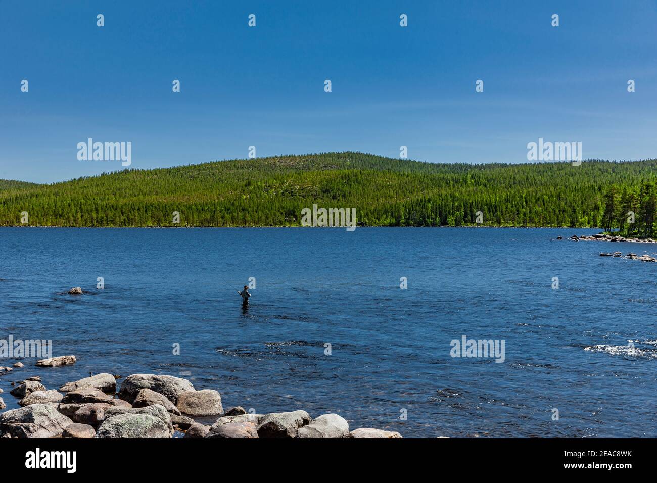 Fly fisherman on a river in Norway Stock Photo