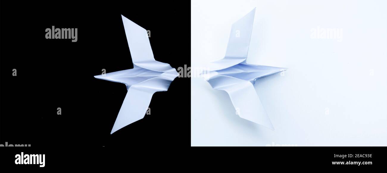 Origami paper birds on a black and white background Stock Photo