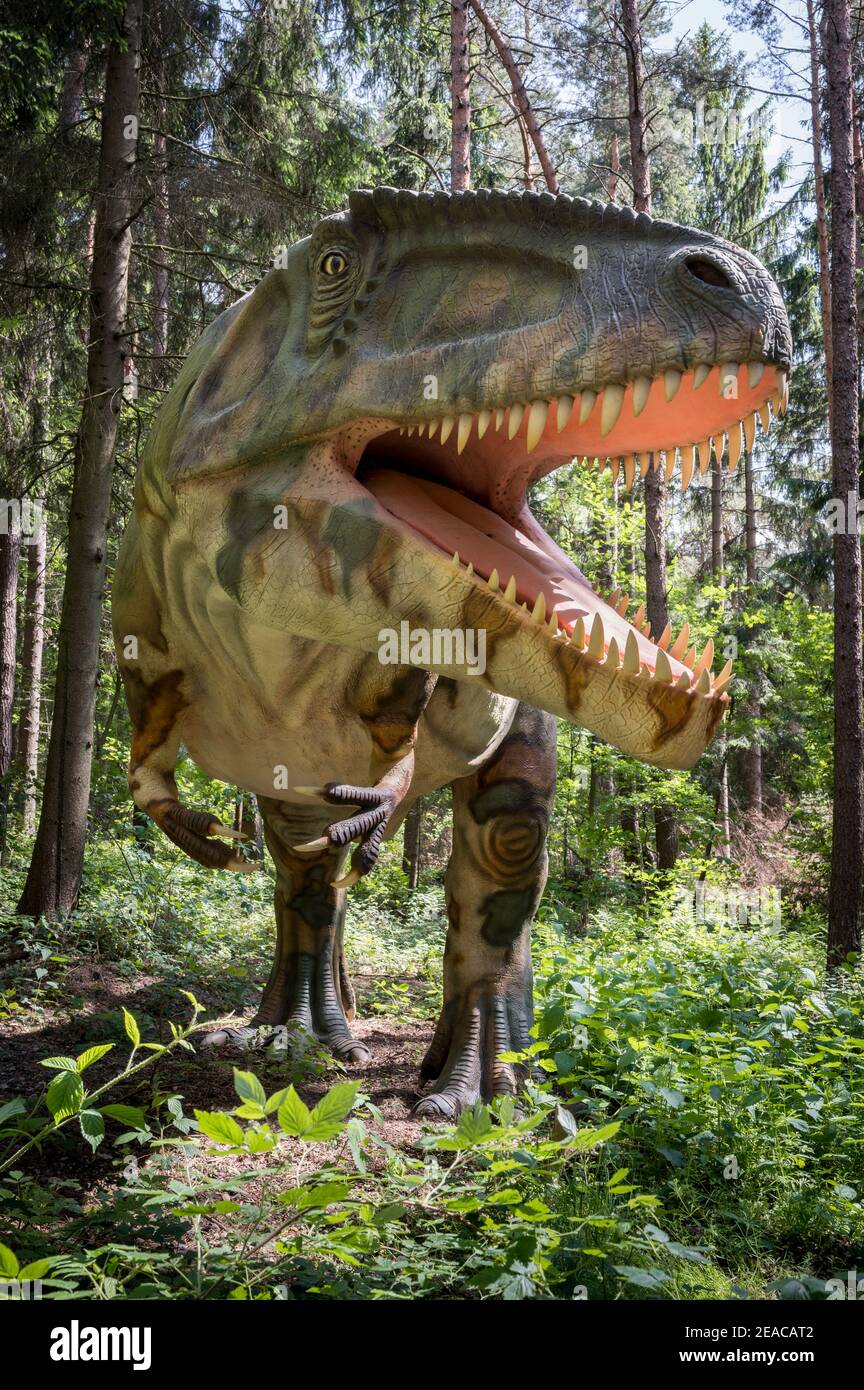 Gigantosaurus Images – Browse 132 Stock Photos, Vectors, and Video