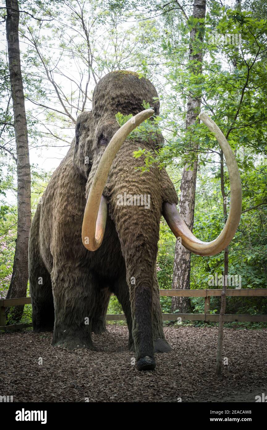 Mammoth model in Dinopark Münchehagen near Hanover. Lived about 700, 000 years ago, was up to 4m high and 8t heavy. Stock Photo
