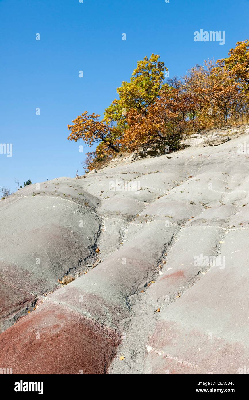 Keuper High Resolution Stock Photography And Images Alamy