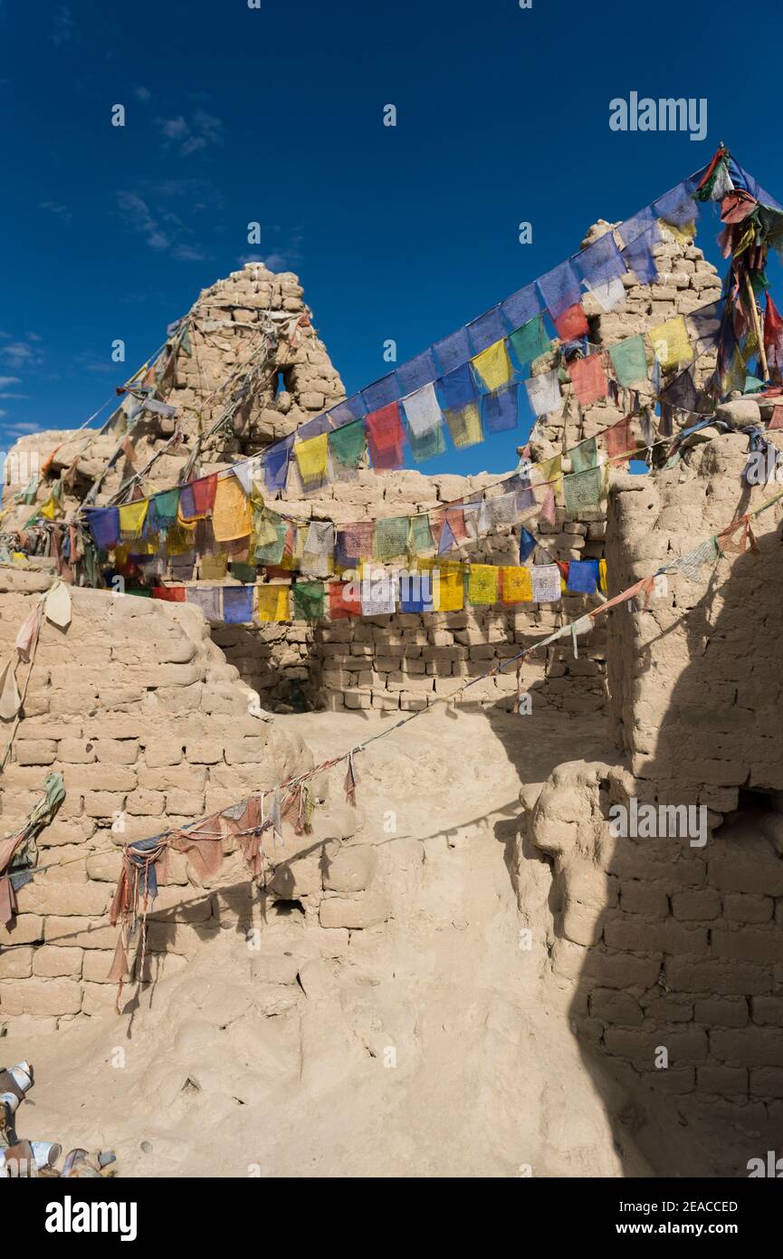 the Shey Gompa monastery with the ruler's palace Stock Photo
