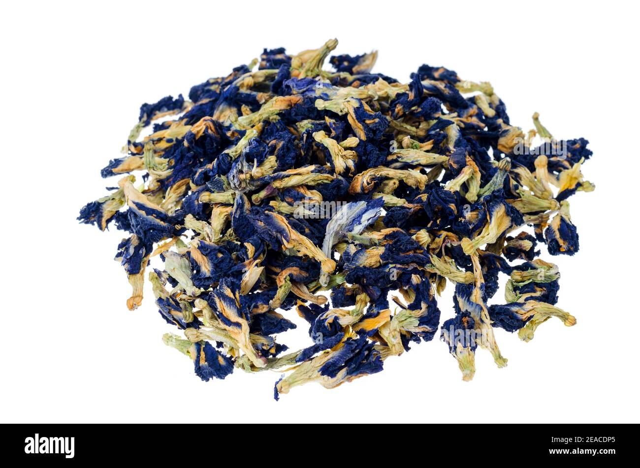 Dried flowers of Clitoria ternatea plant, blue tea. Studio Photo Stock