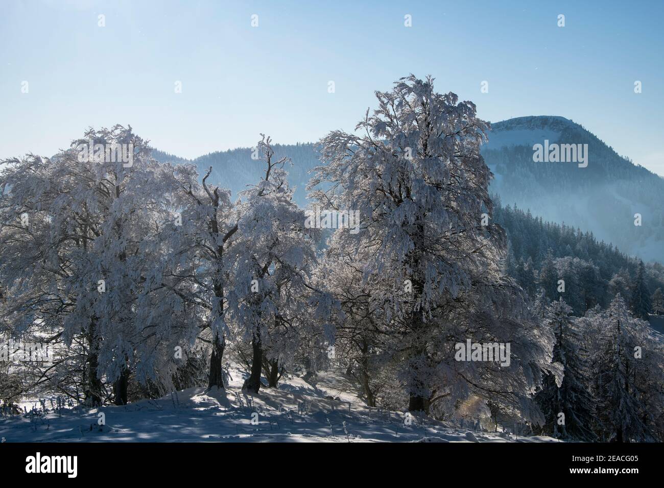 Switzerland, winter landscape in the Jura Stock Photo