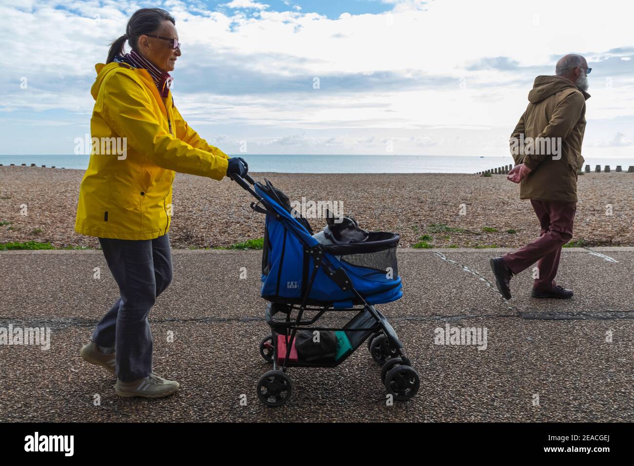England, East Sussex, Eastbourne, Woman Walking on Eastbourne Seafront Promenade Pushing Buggy with Dog Inside Stock Photo