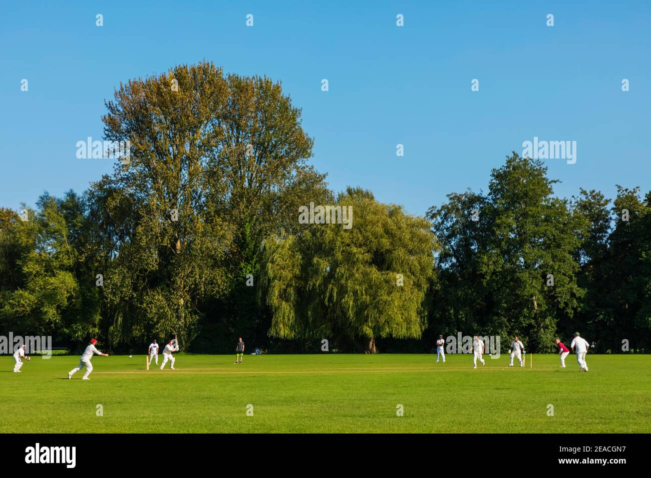 England, Hampshire, Winchester, Cricket Match Stock Photo