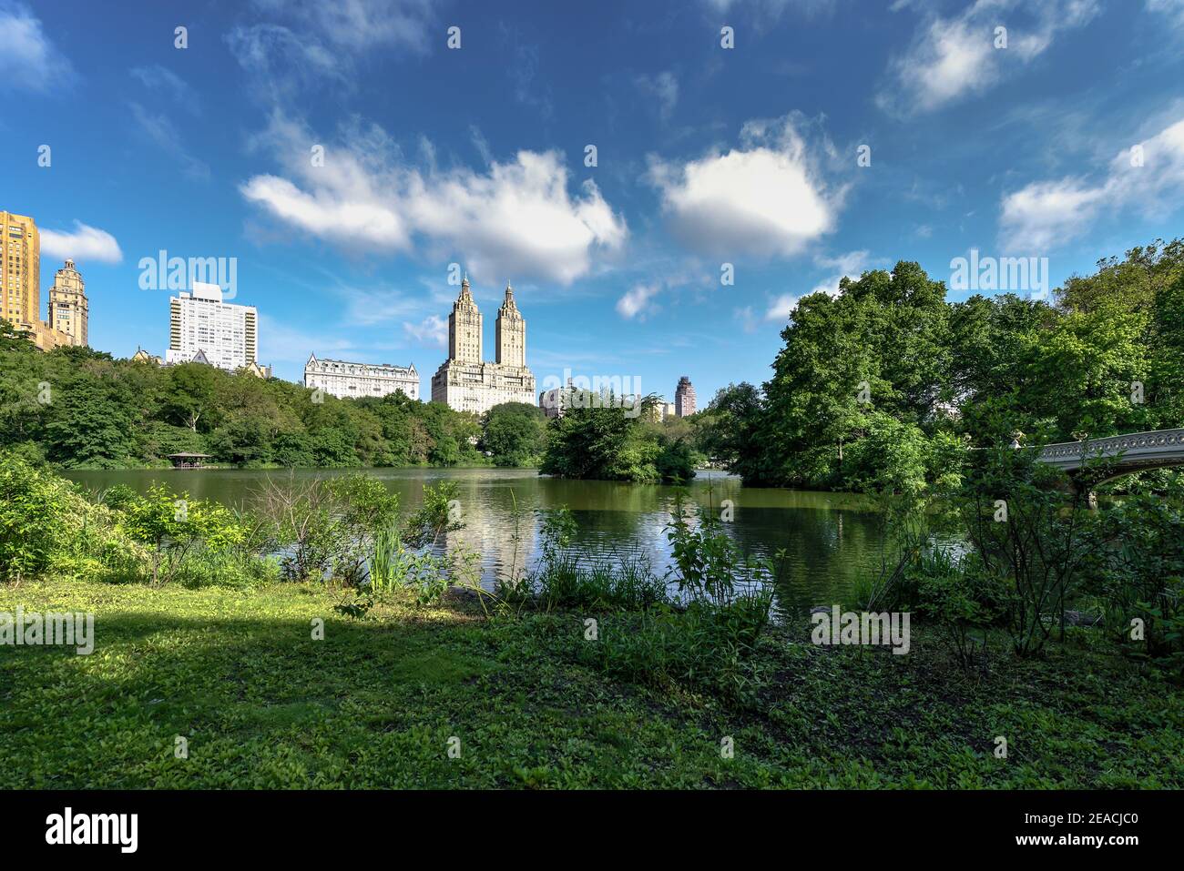 In summer in Central Park in New York with Bow Bridge over Central Parl lake Stock Photo