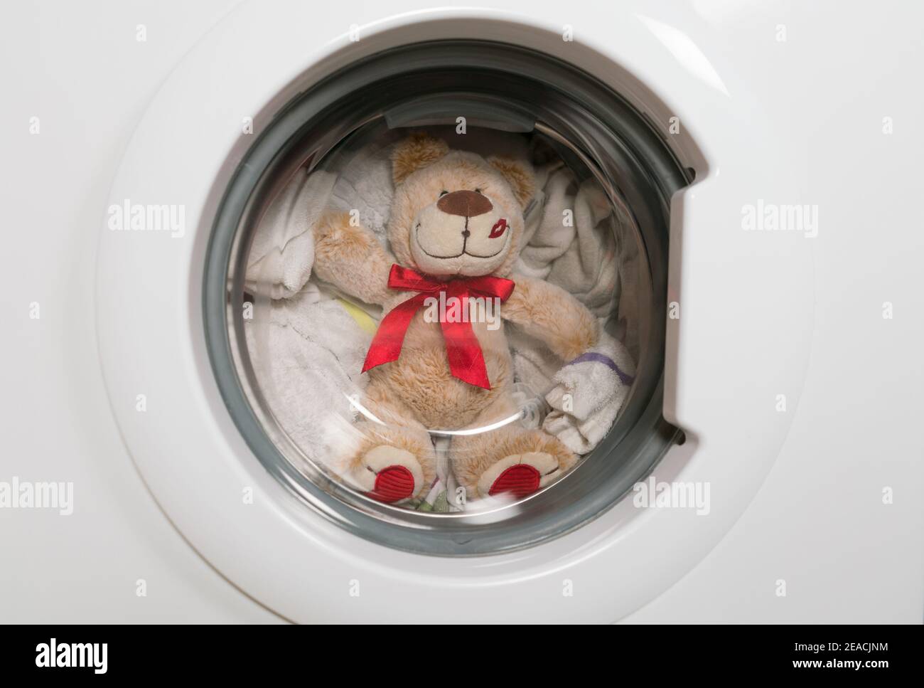 Teddy bear washes in the washing machine Stock Photo Alamy