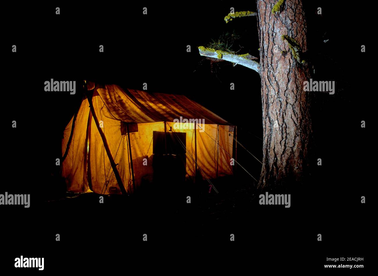 Hunting camp; wall tent at night. Stock Photo
