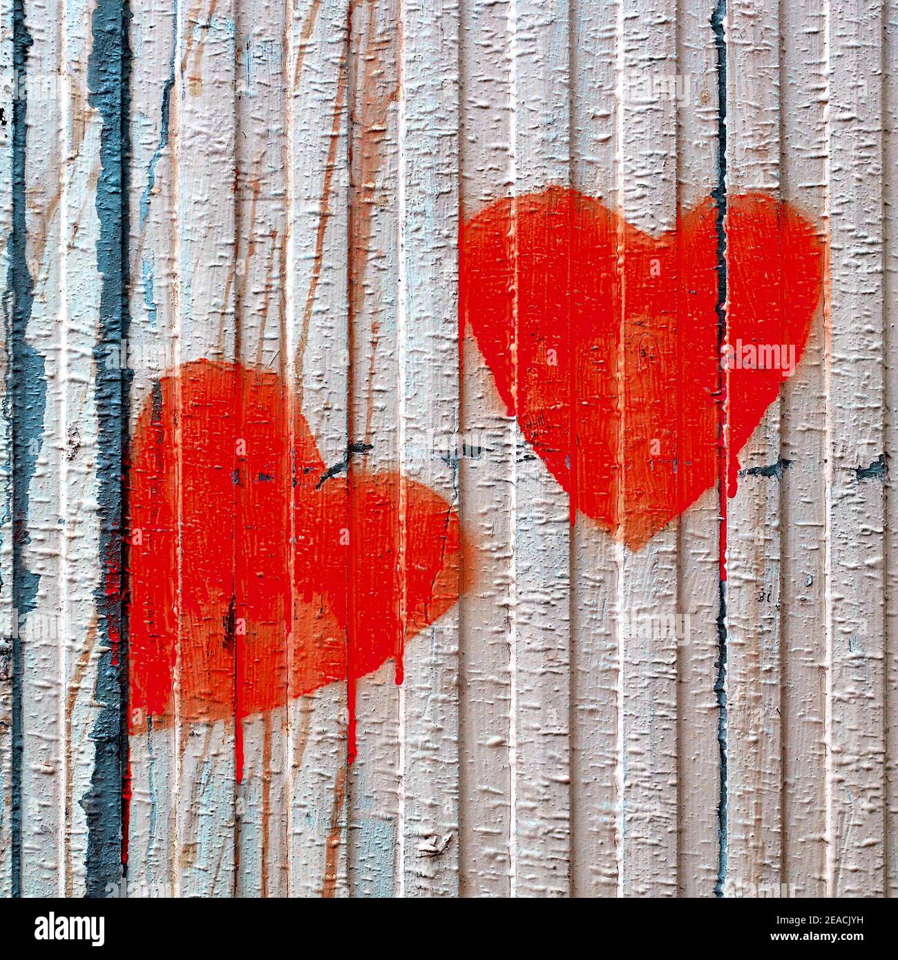 Two bright red hearts drawing on an old wooden fence painted in white, Valentine concept love background Stock Photo