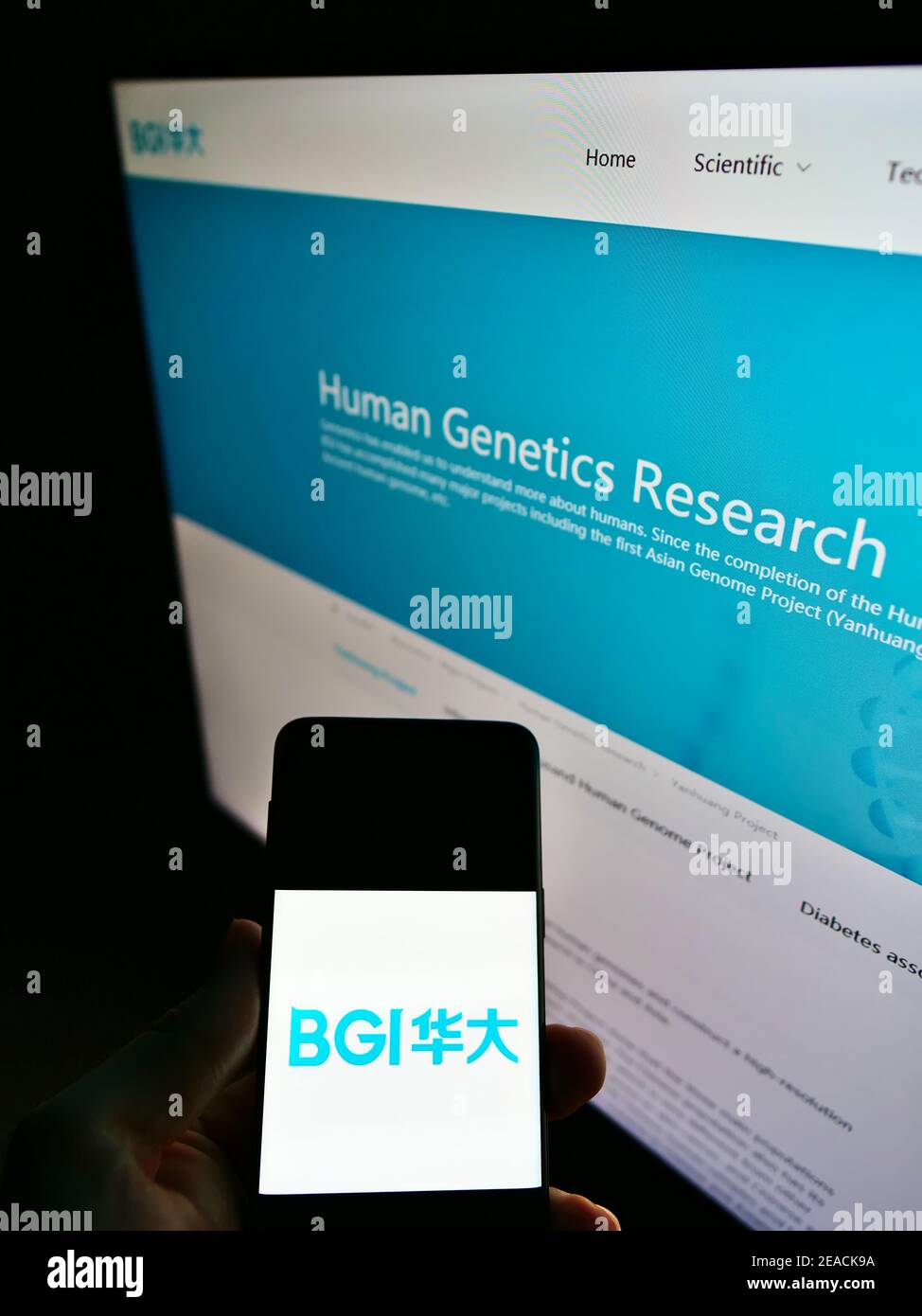Person holding cellphone with logo of Chinese genome sequencing company BGI Group on screen with business website. Focus on mobile phone display. Stock Photo