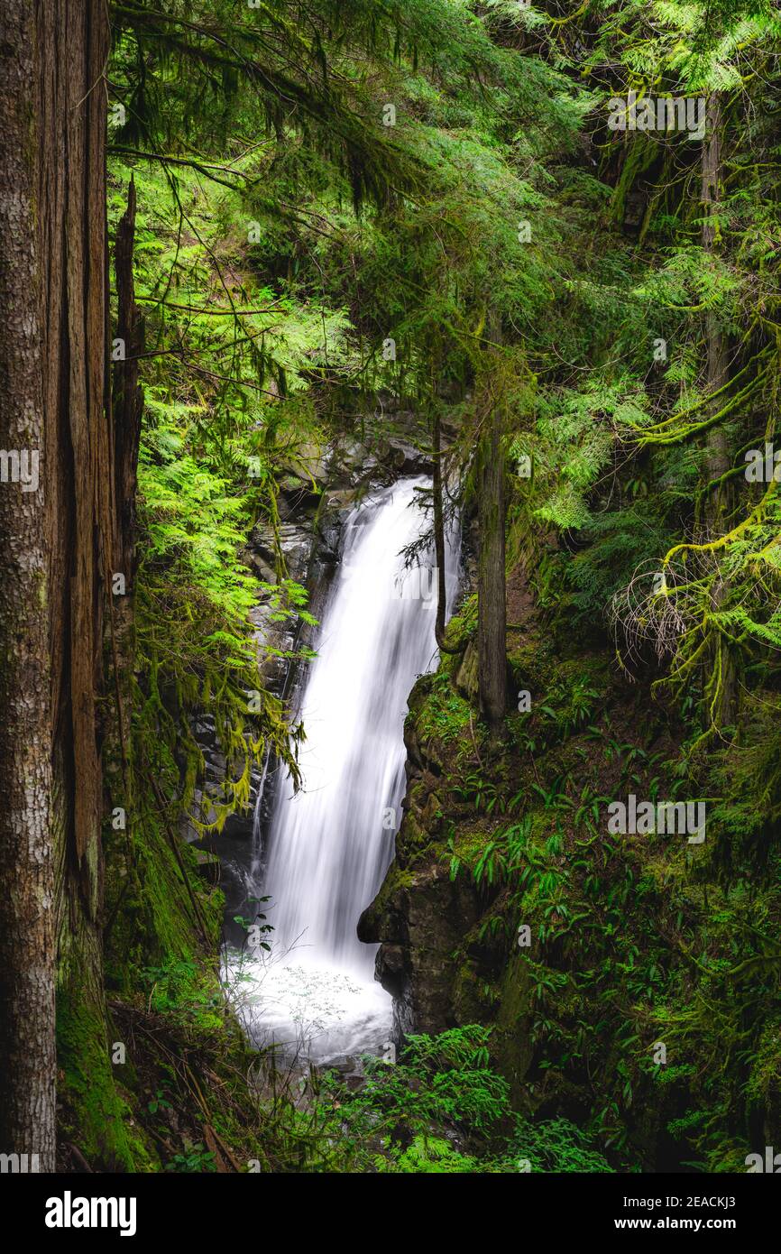 Cypress Falls, North Vancouver Stock Photo