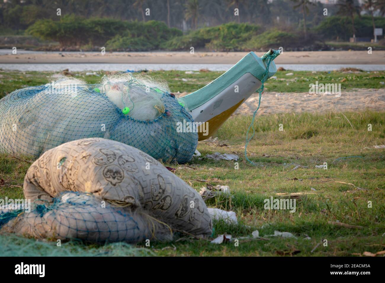 India tamil nadu chennai fish hi-res stock photography and images - Alamy