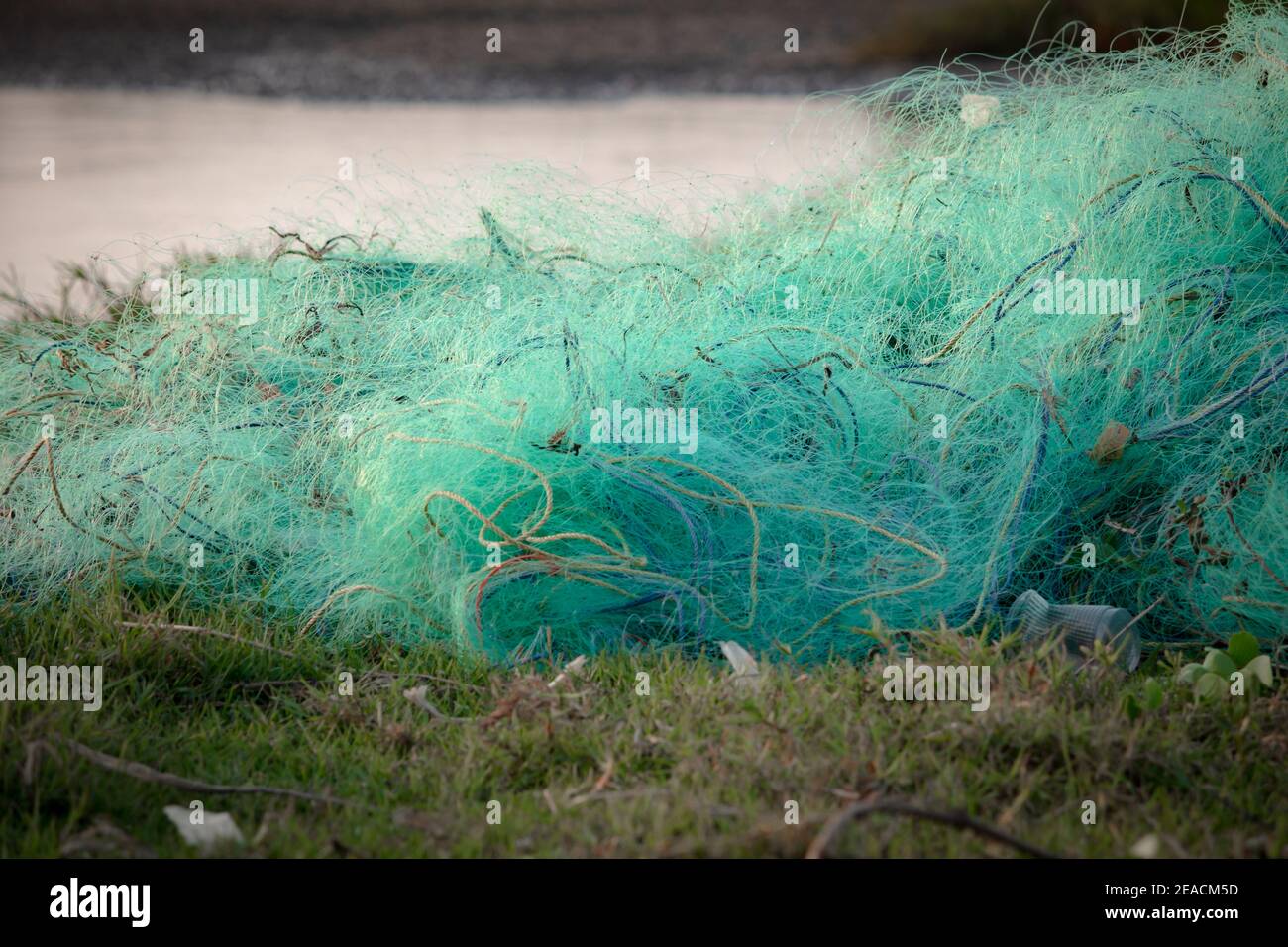 View of fishing nets used by fishermen being dried along Kovalam Beach