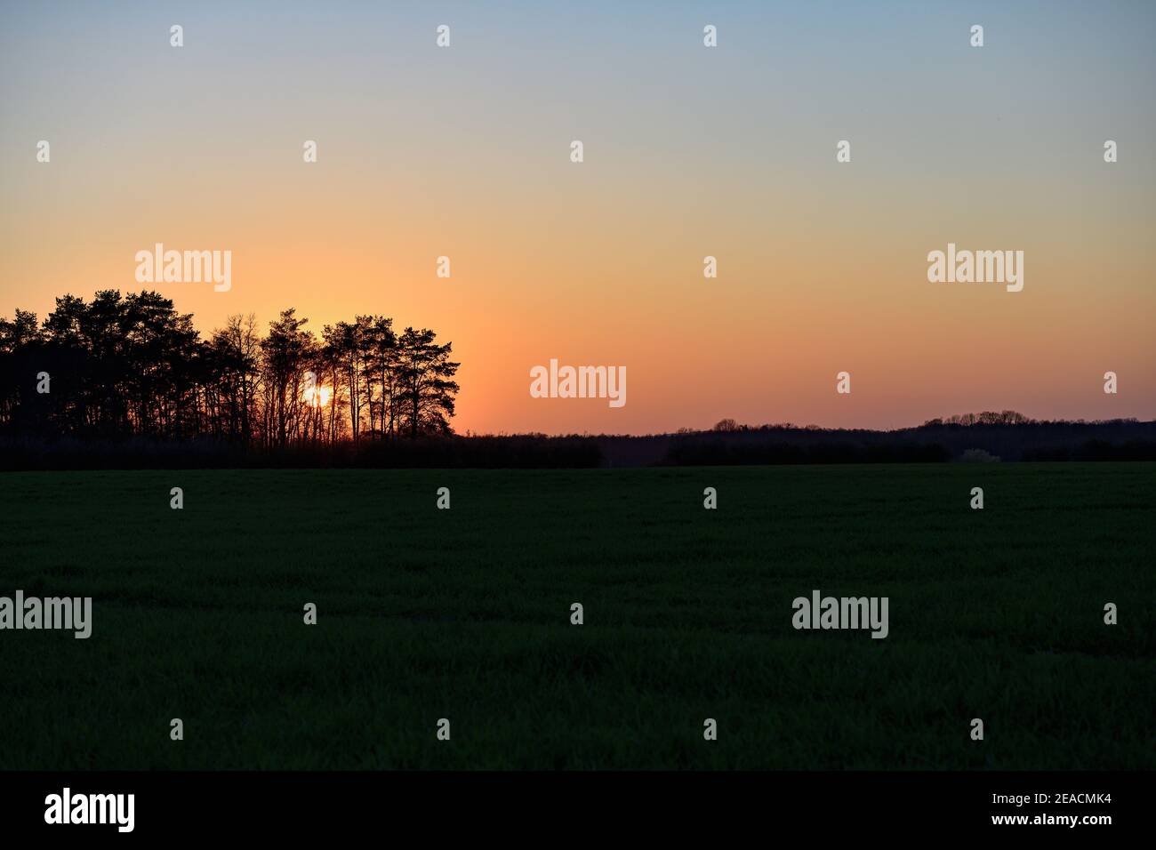 Sunset behind trees over a field Stock Photo