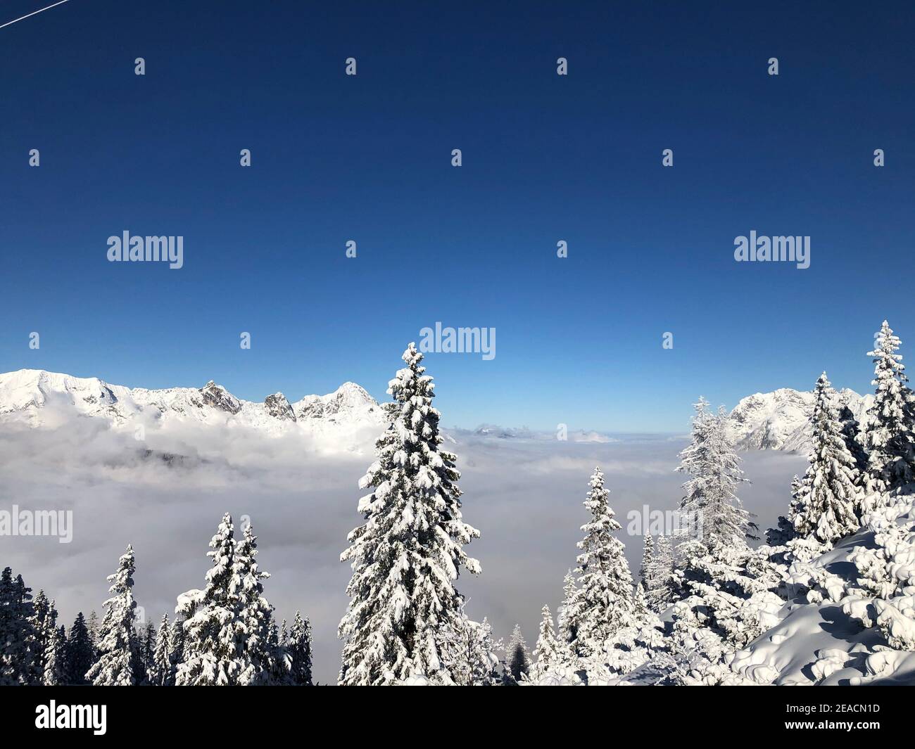 Rosshütte ski area, snow-covered trees, winter, sea of fog, sun, mountains, Alps, Seefeld in Tirol, Austria Stock Photo