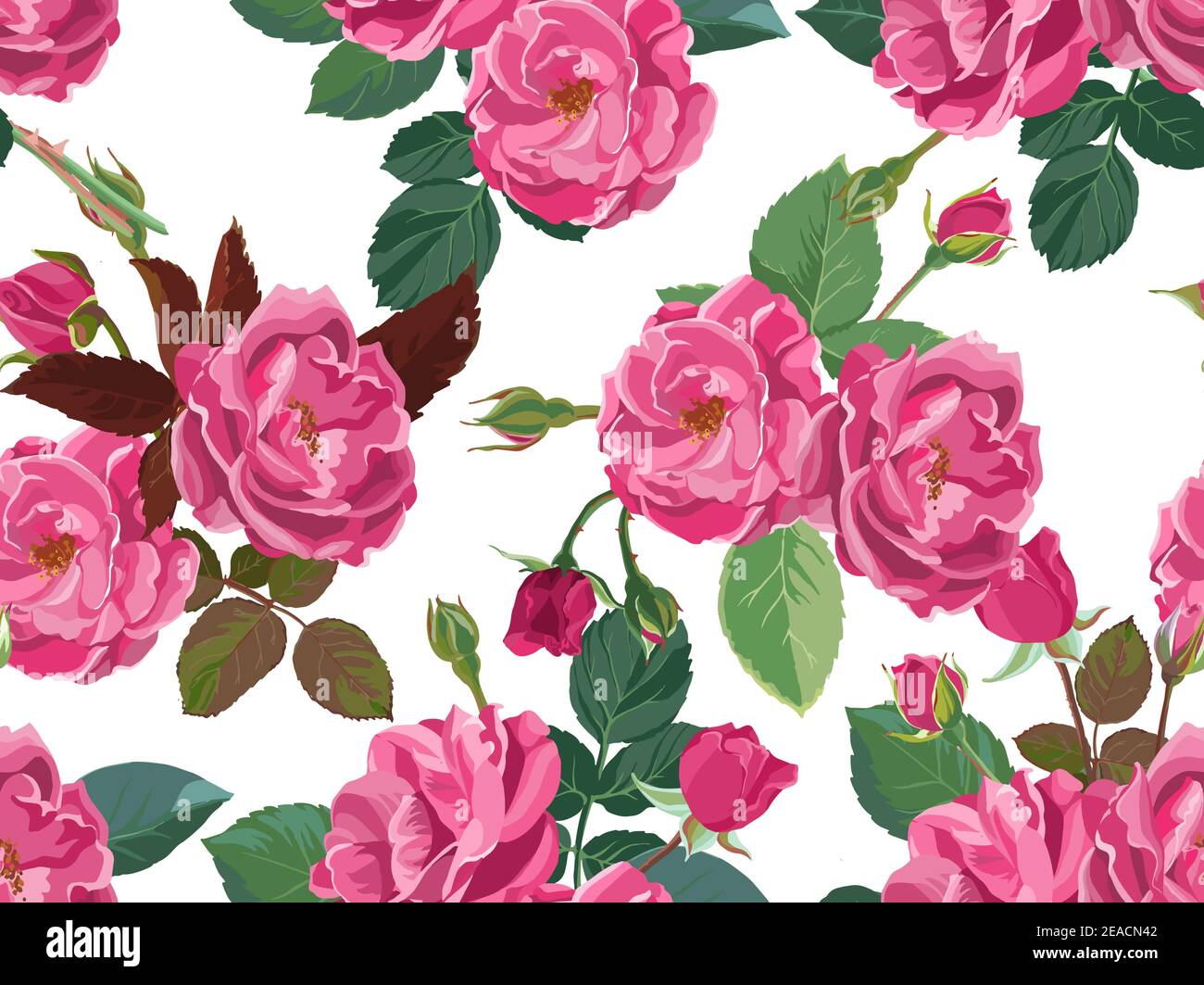 Pink roses or peonies in blossom seamless pattern Stock Vector