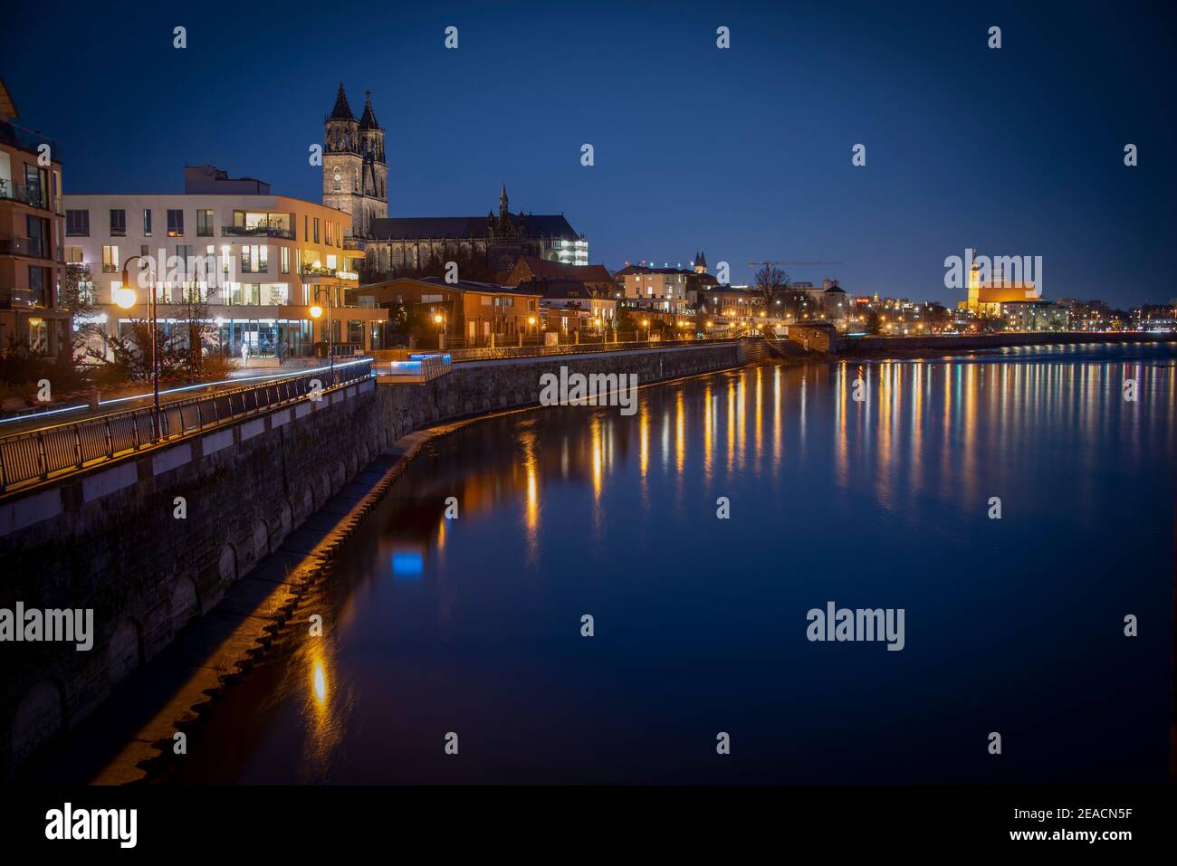 Germany, Saxony-Anhalt, Magdeburg, Elbe promenade with Magdeburg Cathedral during the blue hour. Stock Photo