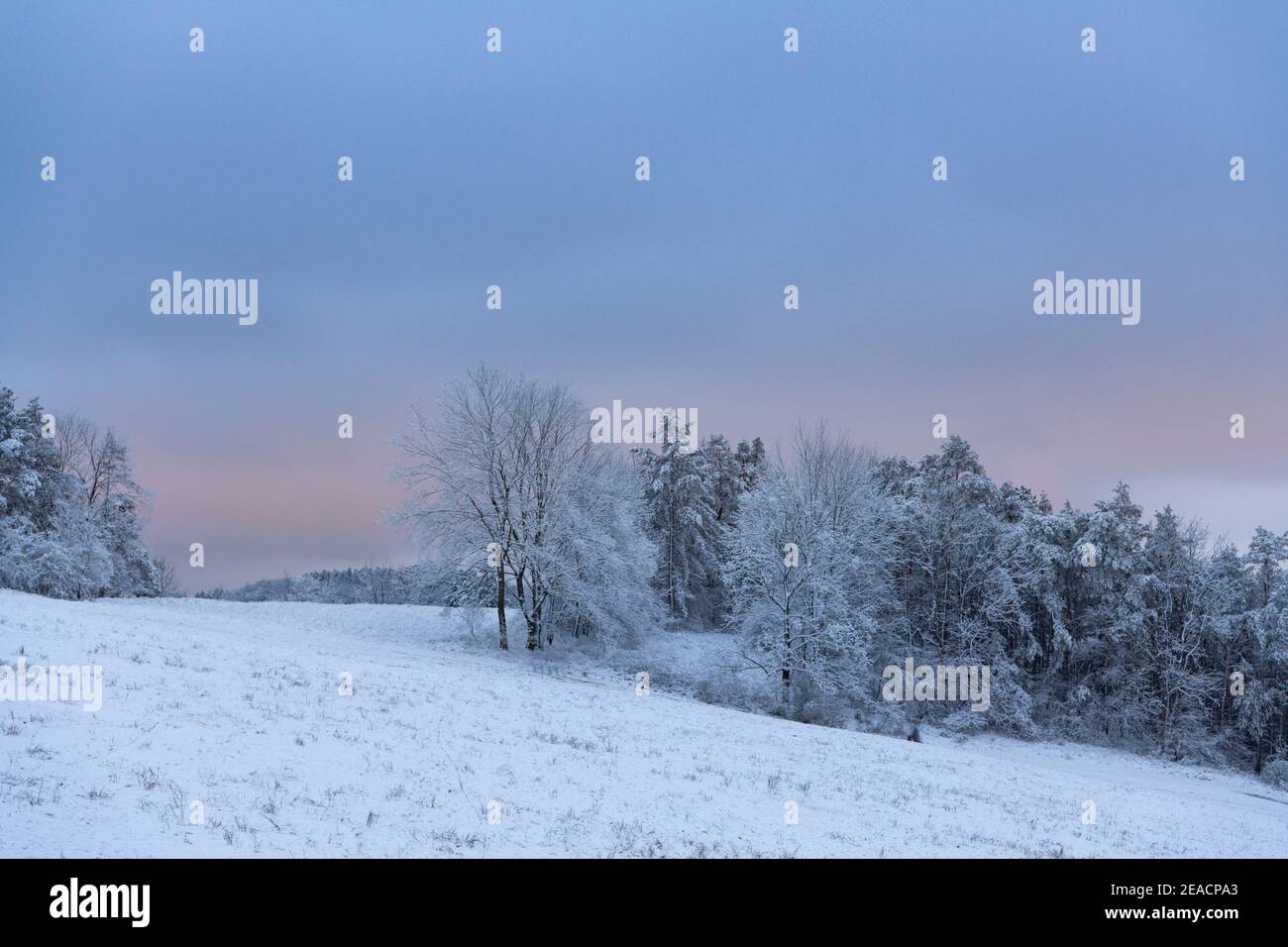 Blick auf die winterliche Umgebung von Jena in Thüringen, Deutschland. Stock Photo