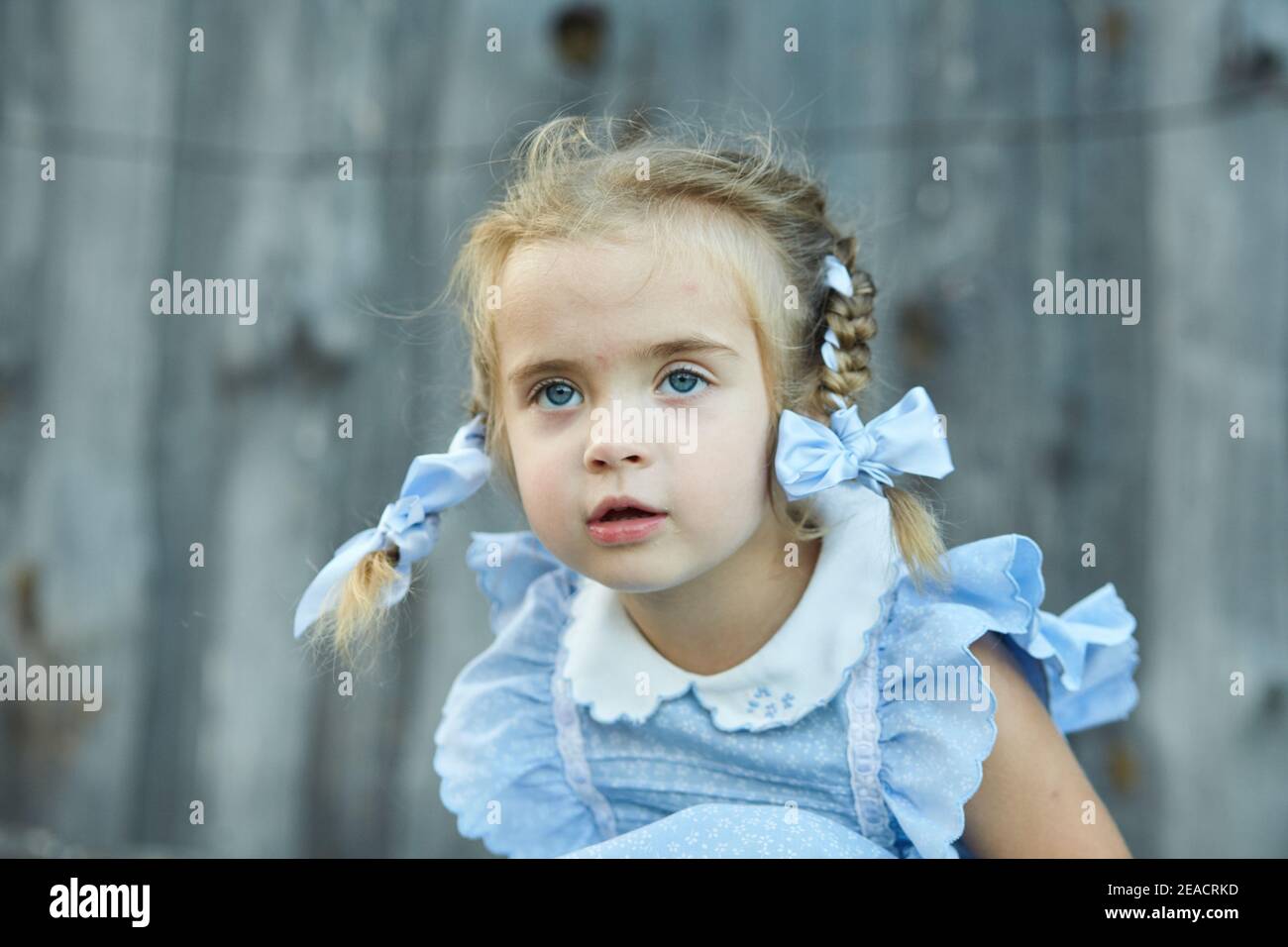 Cute little funny girl in a blue dress is sitting in the village yard ...