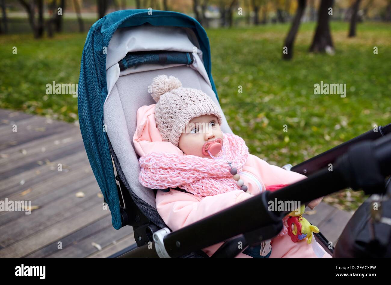 Baby in stroller on a walk in autumn park. Adorable little girl in warm clothes sitting in blue pushchair. Child with nipple in buggy Stock Photo
