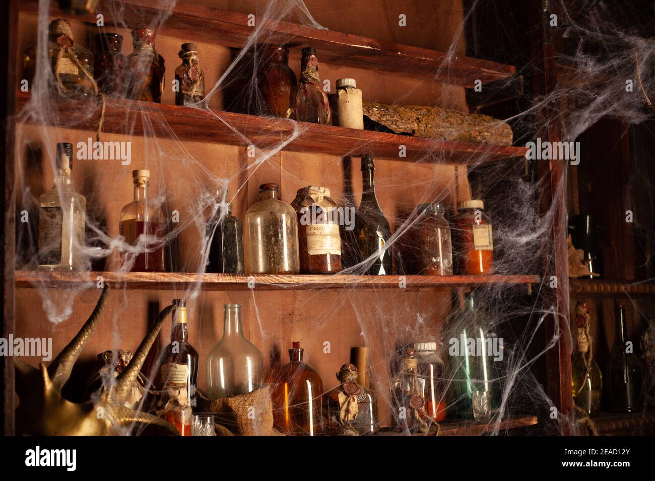 Halloween background Shelves with alchemy tools Skull spiderweb bottle with poison candles Witcher workspace Scarry room Stock Photo