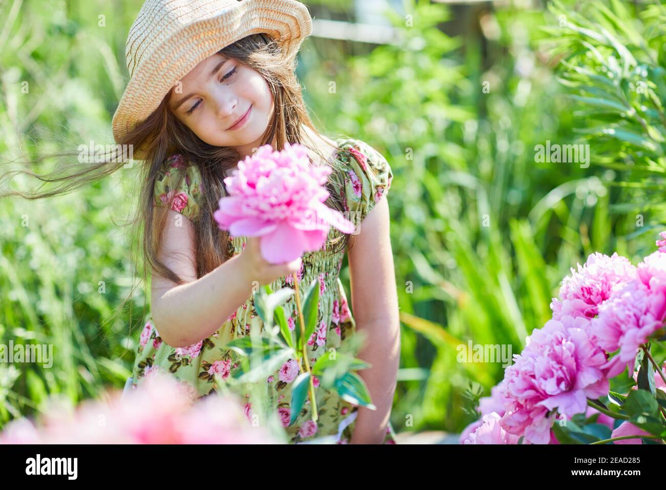 Beautiful little girl is holding a pink peony in a sunny day in the garden. Pretty girl is wearing a fashionable patterned summer dress and straw hat Stock Photo