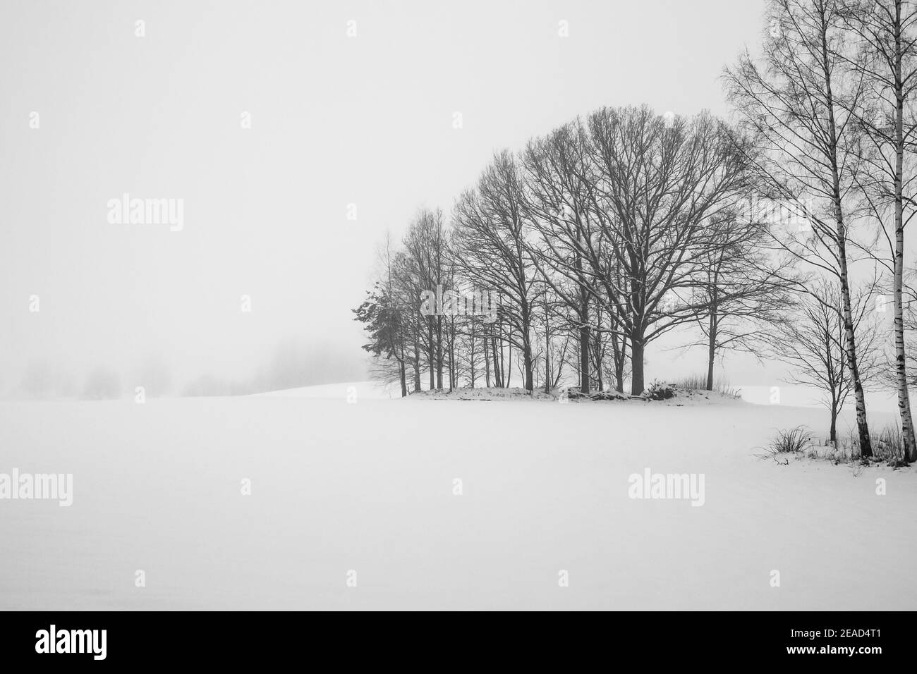Winter landscape snowy country Black and White Stock Photos & Images ...